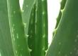 New Ways to Use Common Medicines